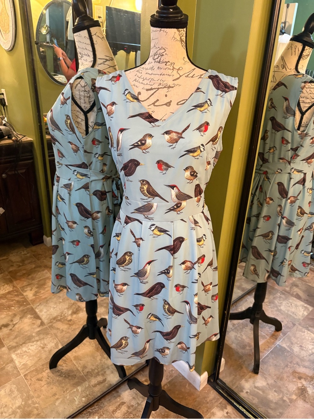 Bird-Print Sleeveless Fit & Flare Mini Dress in Light Blue